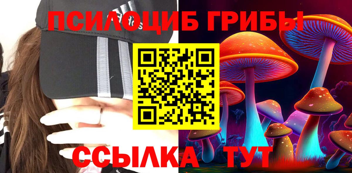 Соль-Илецк  закладки  Псилоцибиновые грибы Psilocybine cubensis  Вход с VPN  Псилоцибиновые грибы прущие грибы 