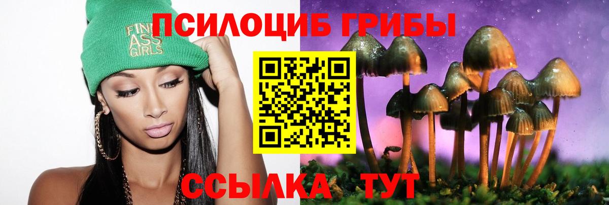 Галлюциногенные грибы прущие грибы Соль-Илецк